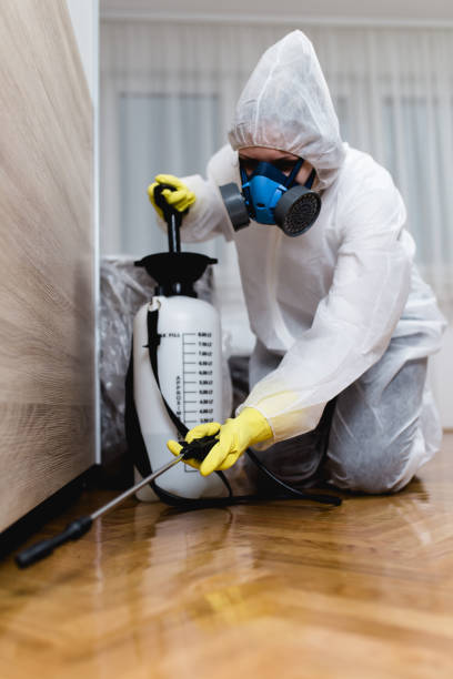 Real Estate Pest Inspections in Grenelefe, FL